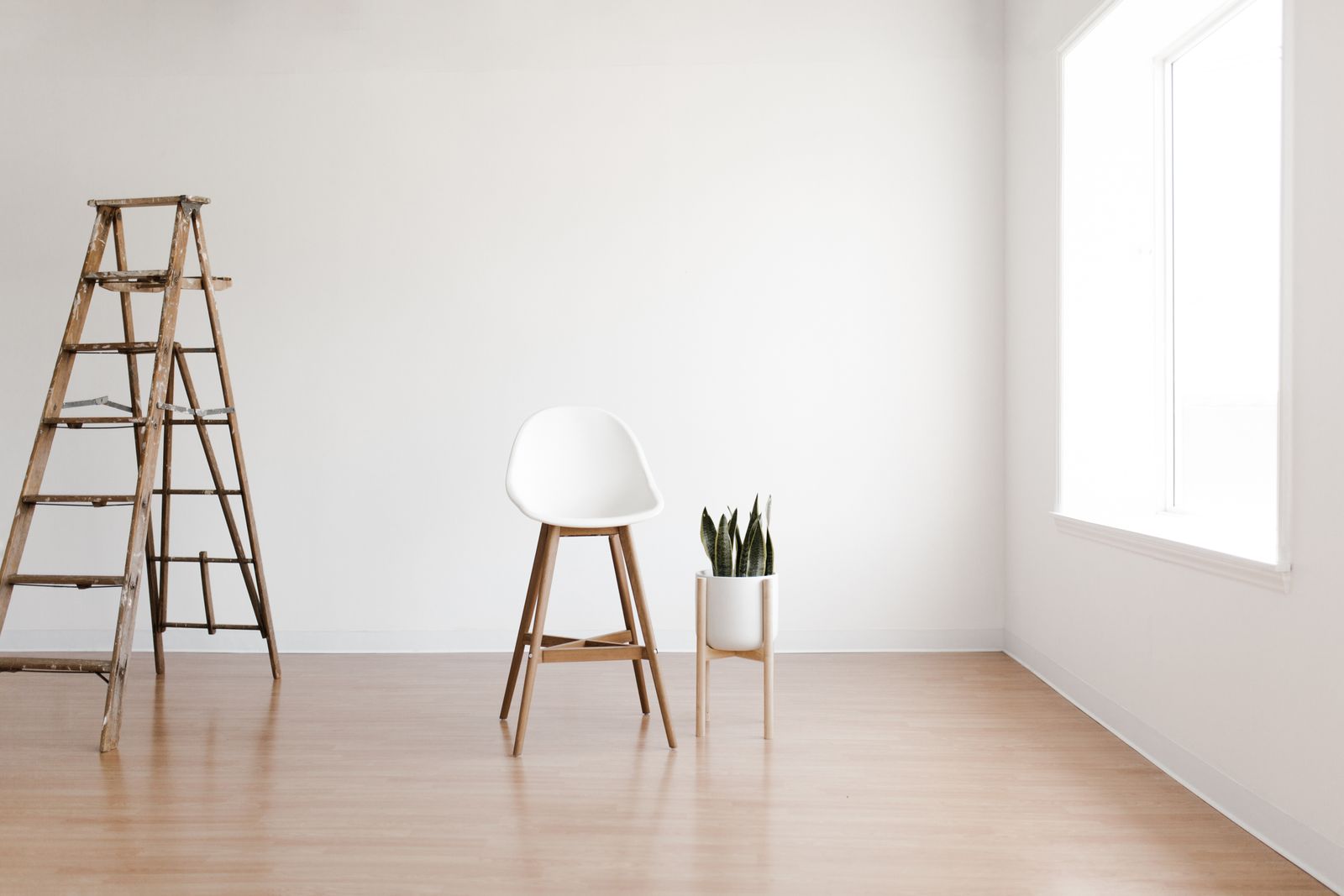 A bright, calm corner with a plant and soft natural light